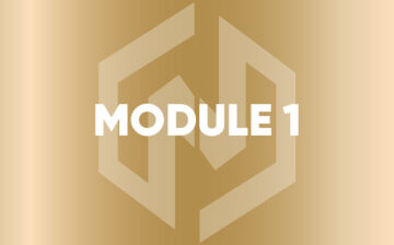 Module 1: Concepts and terminology related to money laundering and its related crimes.